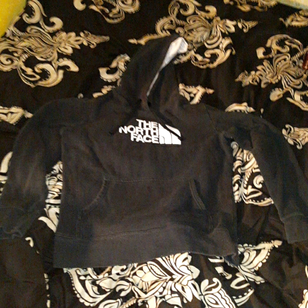 The north face hoodie